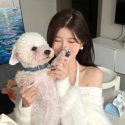 女婿难当
